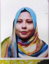 boston-banner-image-19