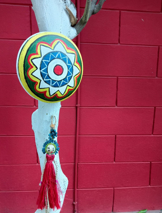 2024-2025 - Image 13