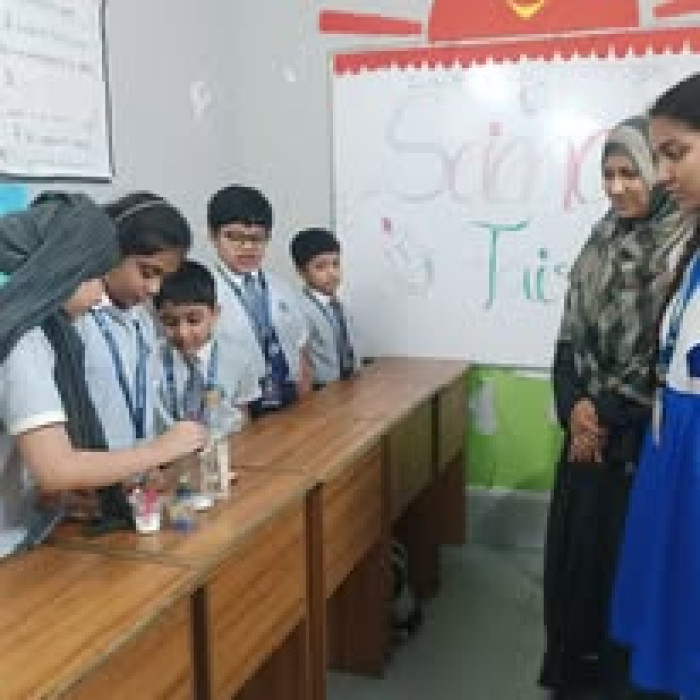 2024-2025 - Image 12